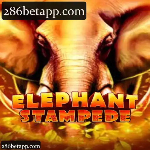 ElephantStampede